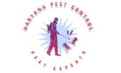 haryanapestcontrol.co.in